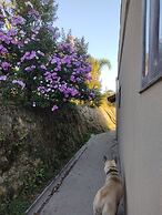 Recanto Vista Alegre - Rancho Queimado