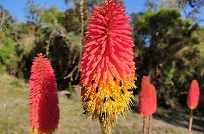 Recanto Vista Alegre - Rancho Queimado