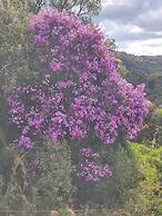 Recanto Vista Alegre - Rancho Queimado