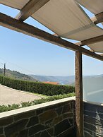 Socalcos Do Douro House