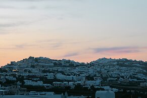 Seven Grapes - Karterados