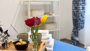 Orchidea in Chioggia