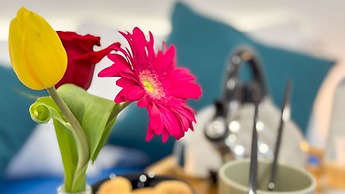 Orchidea in Chioggia