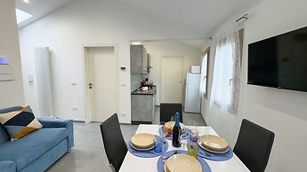 Orchidea in Chioggia