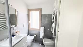 Orchidea in Chioggia