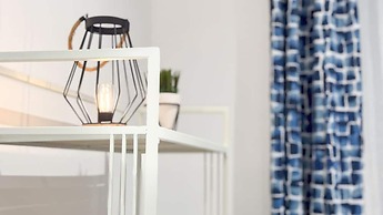 Orchidea in Chioggia