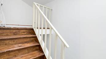 Orchidea in Chioggia