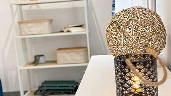 Orchidea in Chioggia