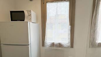 Orchidea in Chioggia