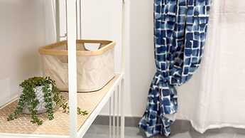 Orchidea in Chioggia