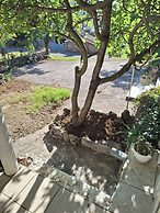 Apartment Renchy Seline