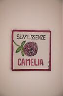 Settessenze Rooms & Apartments