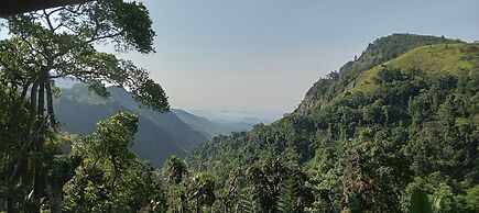 Blue Ribbon Homestay