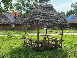 zanzigo