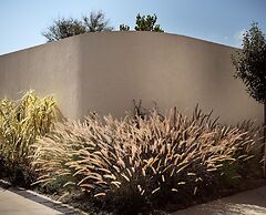 Butterflies Luxury Estate