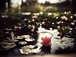 Butterflies Luxury Estate