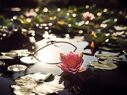 Butterflies Luxury Estate