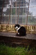 La Petite For t Antique Countryside Greenhouse