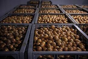 Hotel Taiyo Noen Nibancho