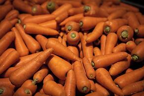 Hotel Taiyo Noen Nibancho