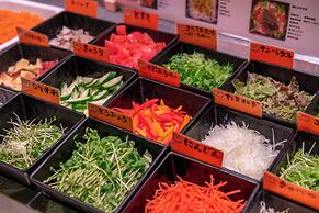 Hotel Taiyo Noen Nibancho