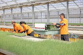 Hotel Taiyo Noen Nibancho