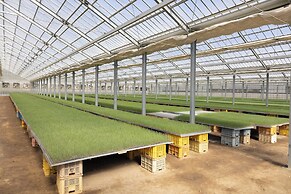 Hotel Taiyo Noen Nibancho