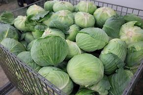 Hotel Taiyo Noen Nibancho