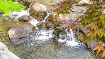 Gapyeong Yumyeongsan Gomone pet Camping