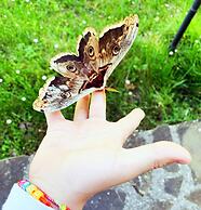 Apartment on the Hill Between Gubbio and Perugia