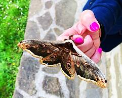 Apartment on the Hill Between Gubbio and Perugia