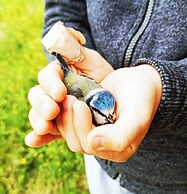 Apartment on the Hill Between Gubbio and Perugia