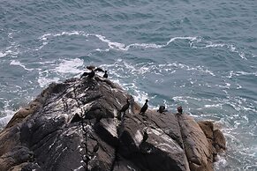 Eco-friendly Cornish Sanctuary Peaceful Location