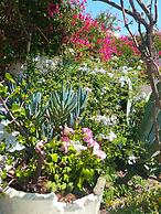 Bonora Country Houses - Askeri