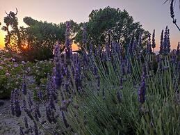 Bonora Country Houses - Askeri