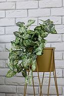 Cracow Apartment With Terrace by Renters