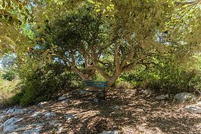 Casina Lamacoppa con Piscina by Wonderful Italy