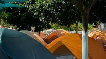 Social Camping JAL