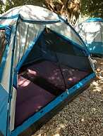 Social Camping JAL