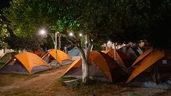 Social Camping JAL