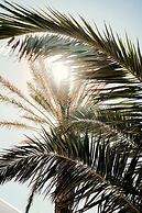 Bonora Country Houses - Alitana