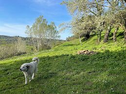 Agriturismo Podere le Tombe