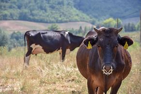 Agriturismo Podere le Tombe