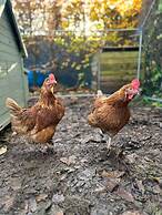 Humphreys Home From Home pad - 3 Bedroom House