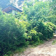 Guest House Folk Inn