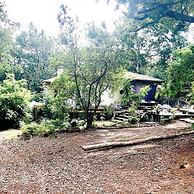 Guest House Folk Inn