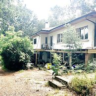 Guest House Folk Inn