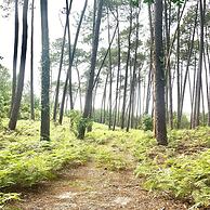 Guest House Folk Inn