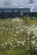 Watergate Lane Hideout