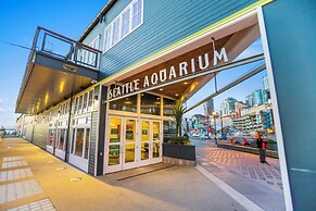 Starlit Cozy Studio with Roof Decks